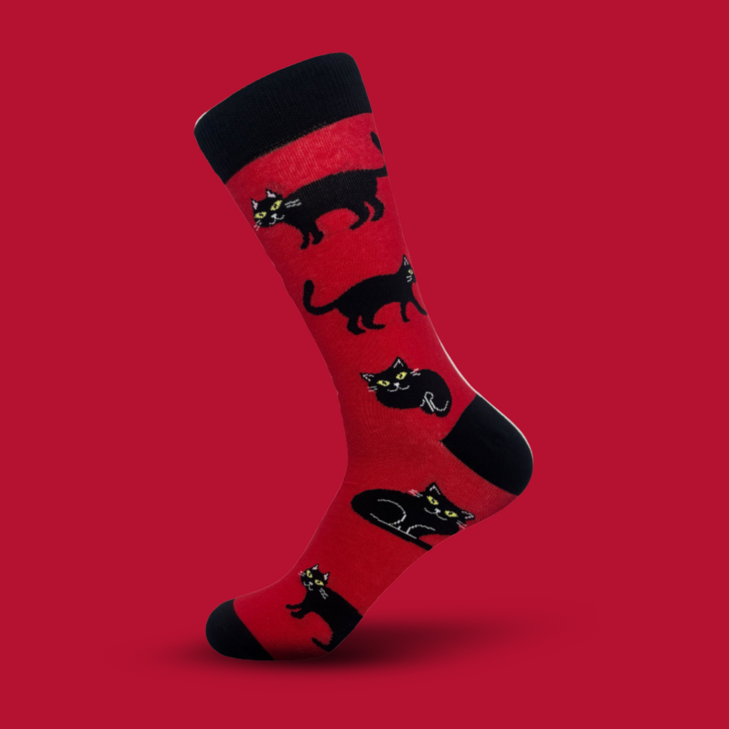 Black Cat - The Wolf in Socks
