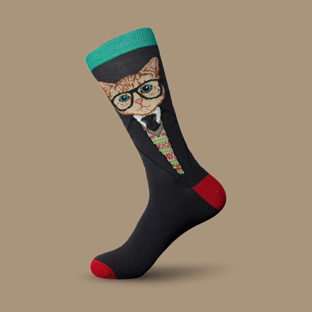 Cat In A Suit - The Wolf in Socks