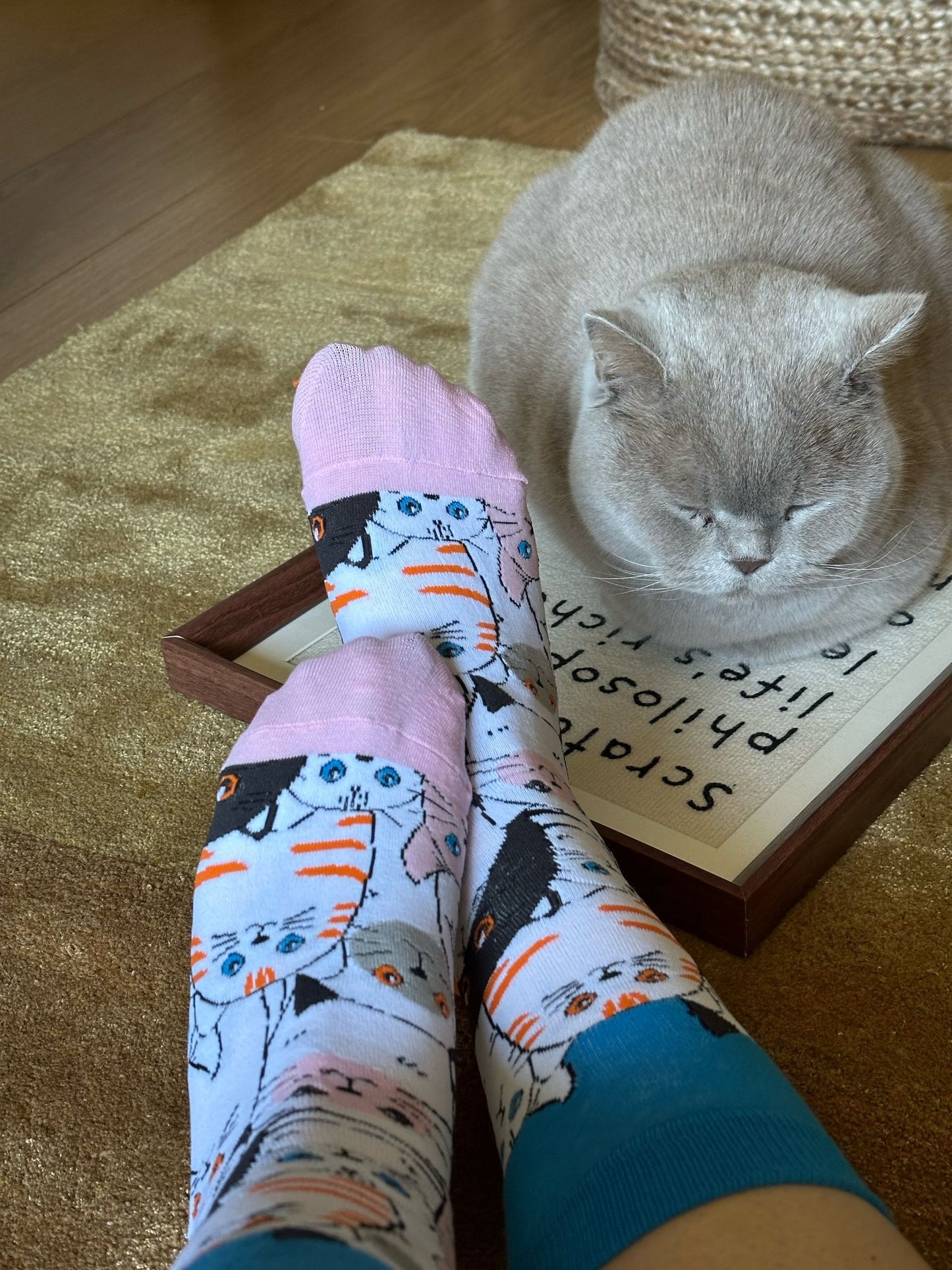 Cat Smize - The Wolf in Socks