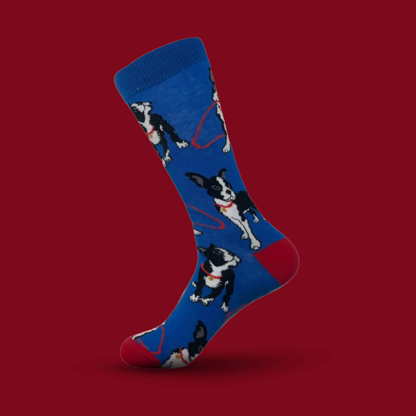 Dog With Red Gold Coin Collar - The Wolf in Socks