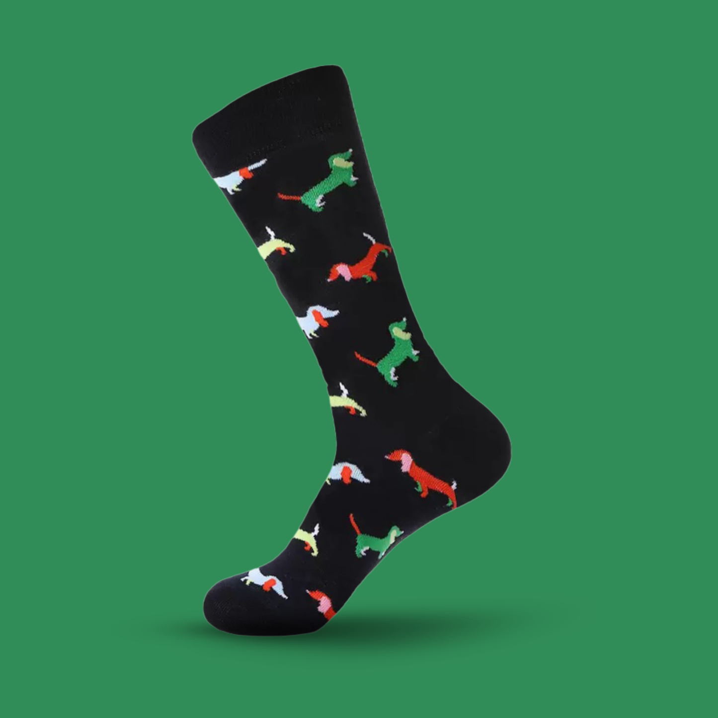 Dachshund - The Wolf in Socks