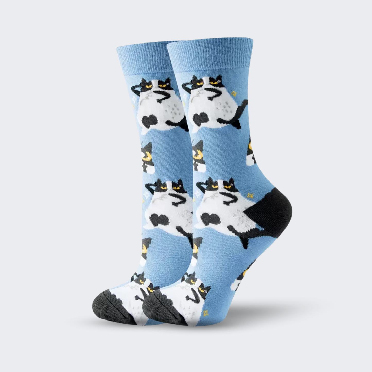 Fatty Cat - The Wolf in Socks