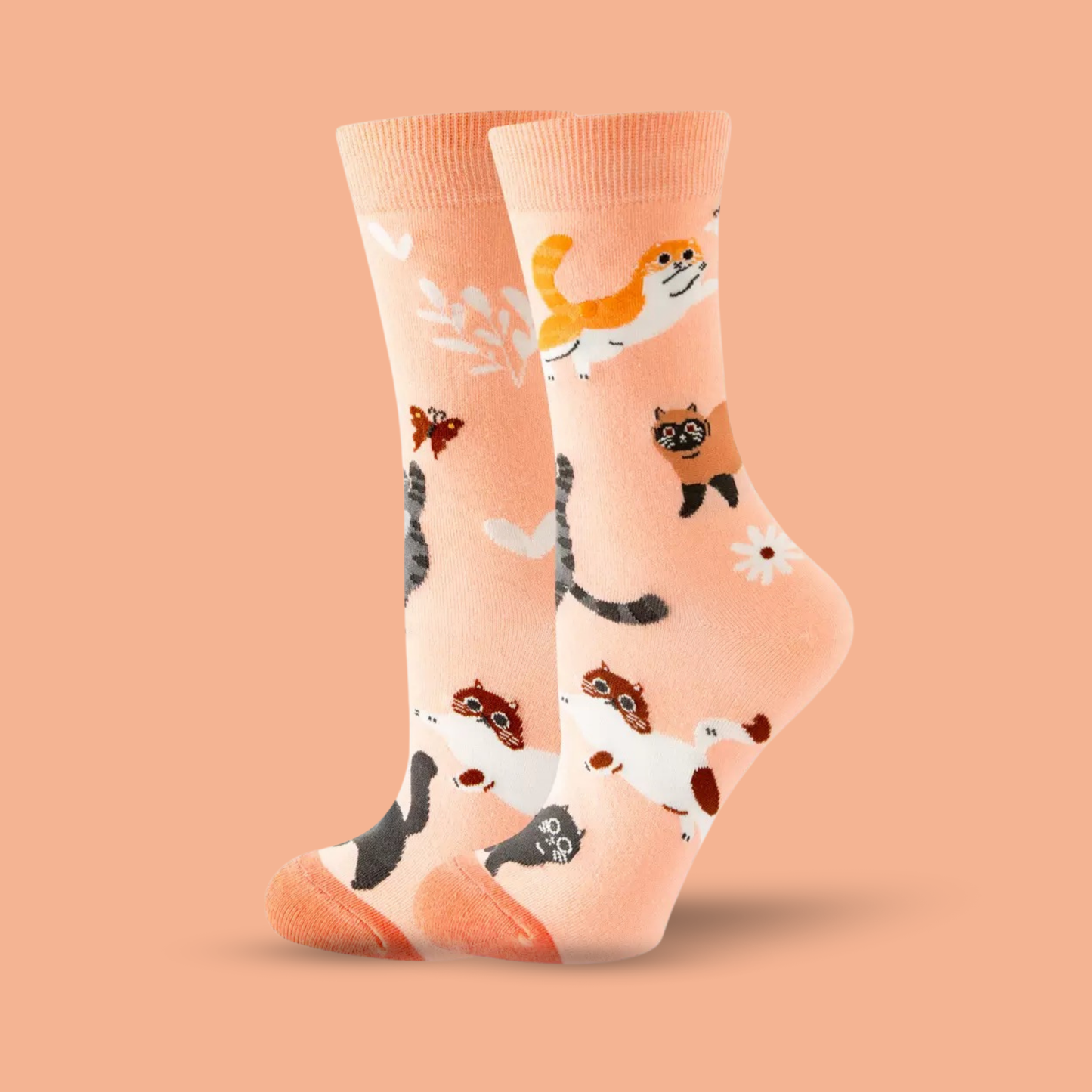 Playful Cats - The Wolf in Socks