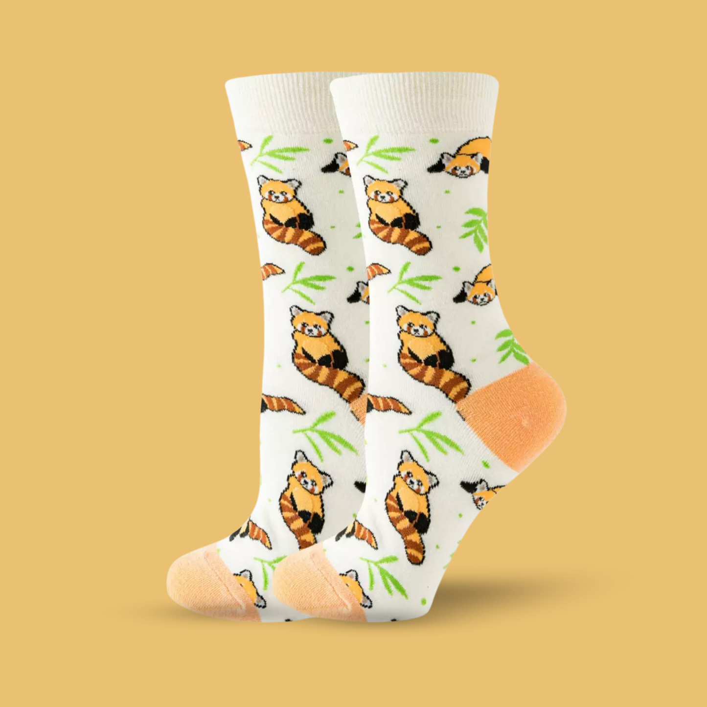 Raccoon - The Wolf in Socks