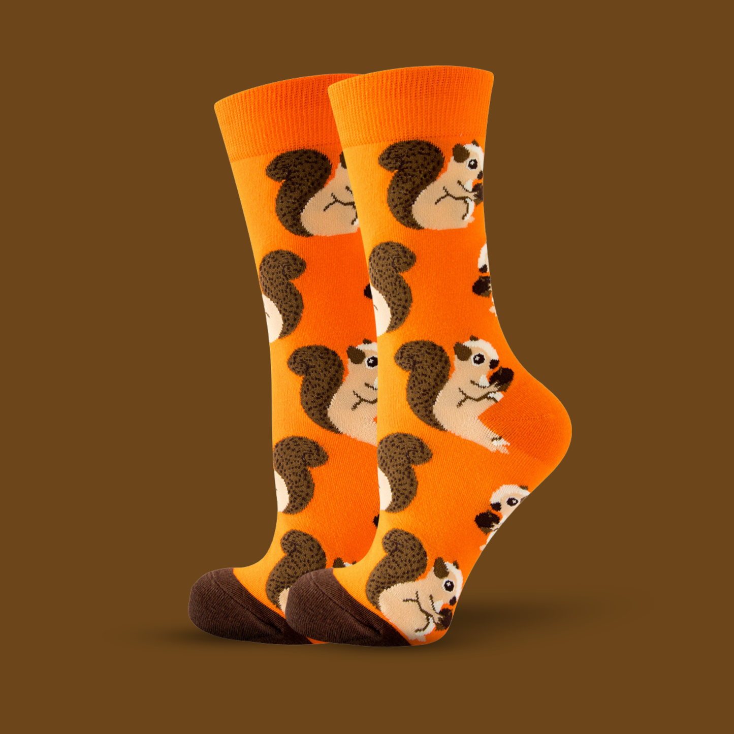 Squirrel - The Wolf in Socks