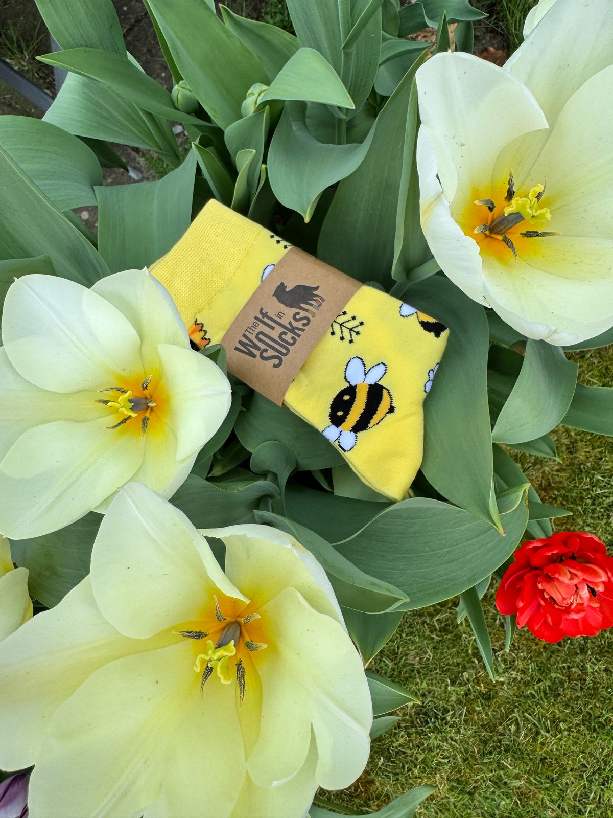 Sunflower Bee - The Wolf in Socks