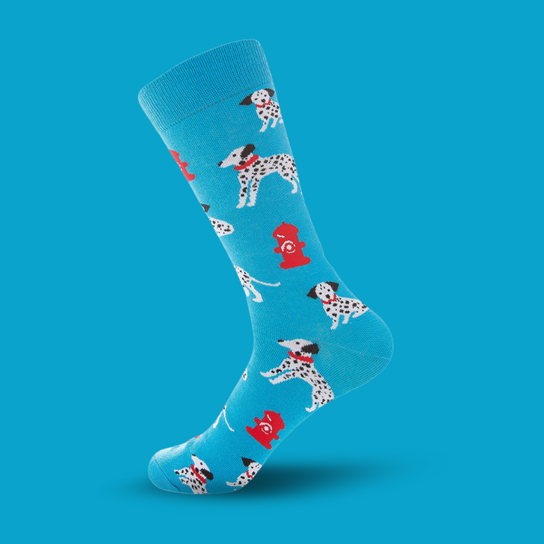 Dalmatian - The Wolf in Socks