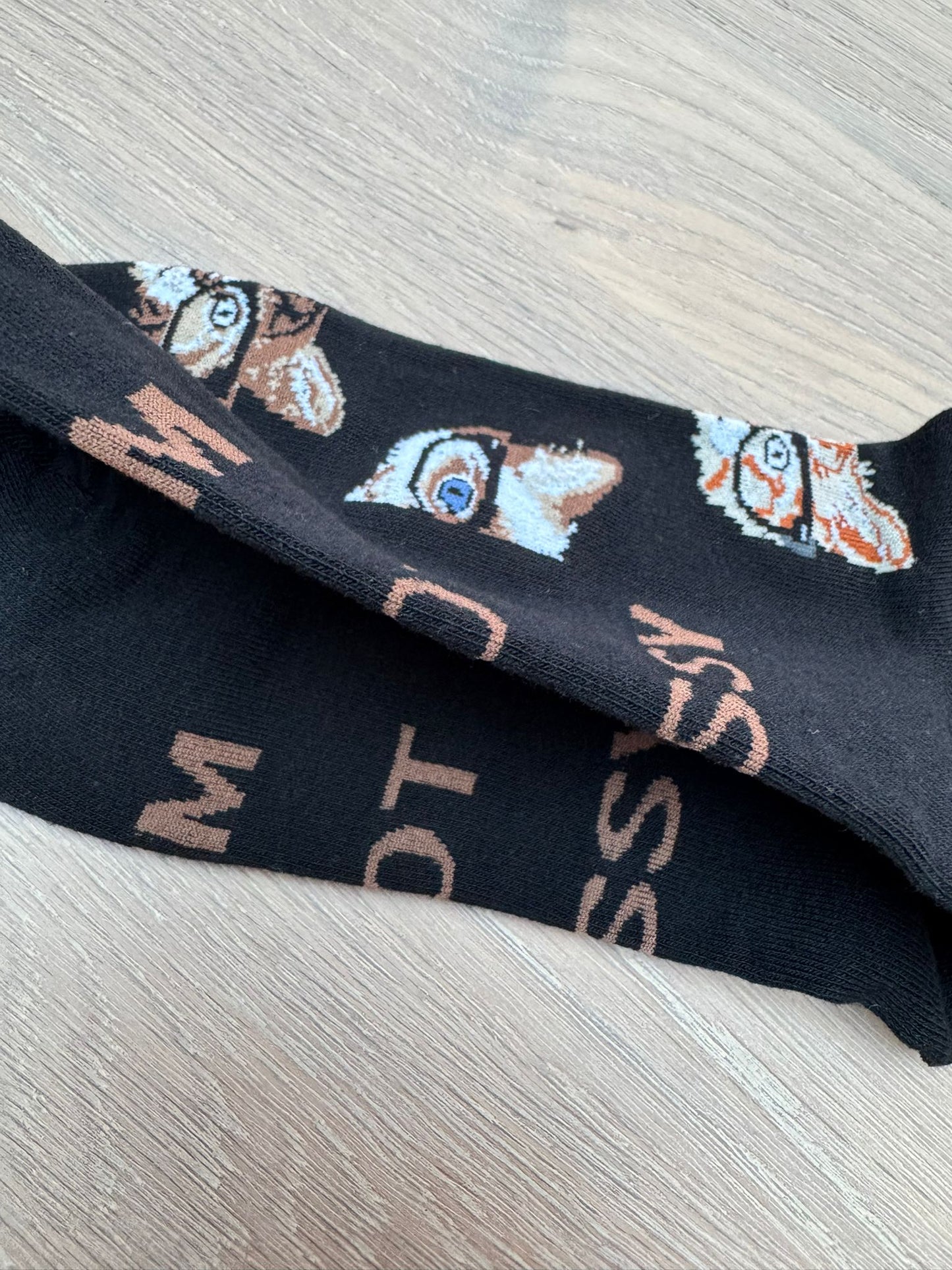 Cat With Glasses - The Wolf in Socks