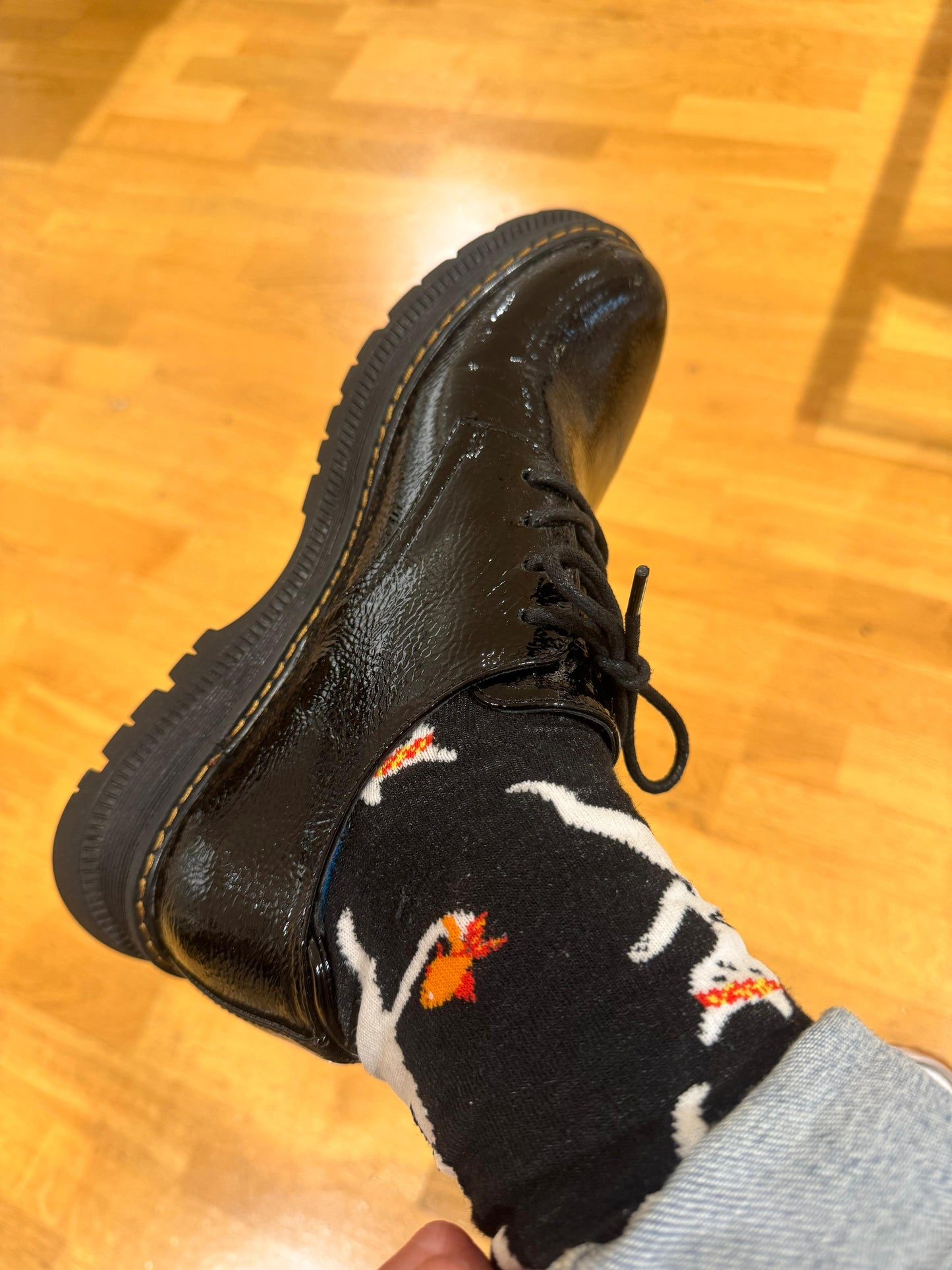 KungFu Cat - The Wolf in Socks