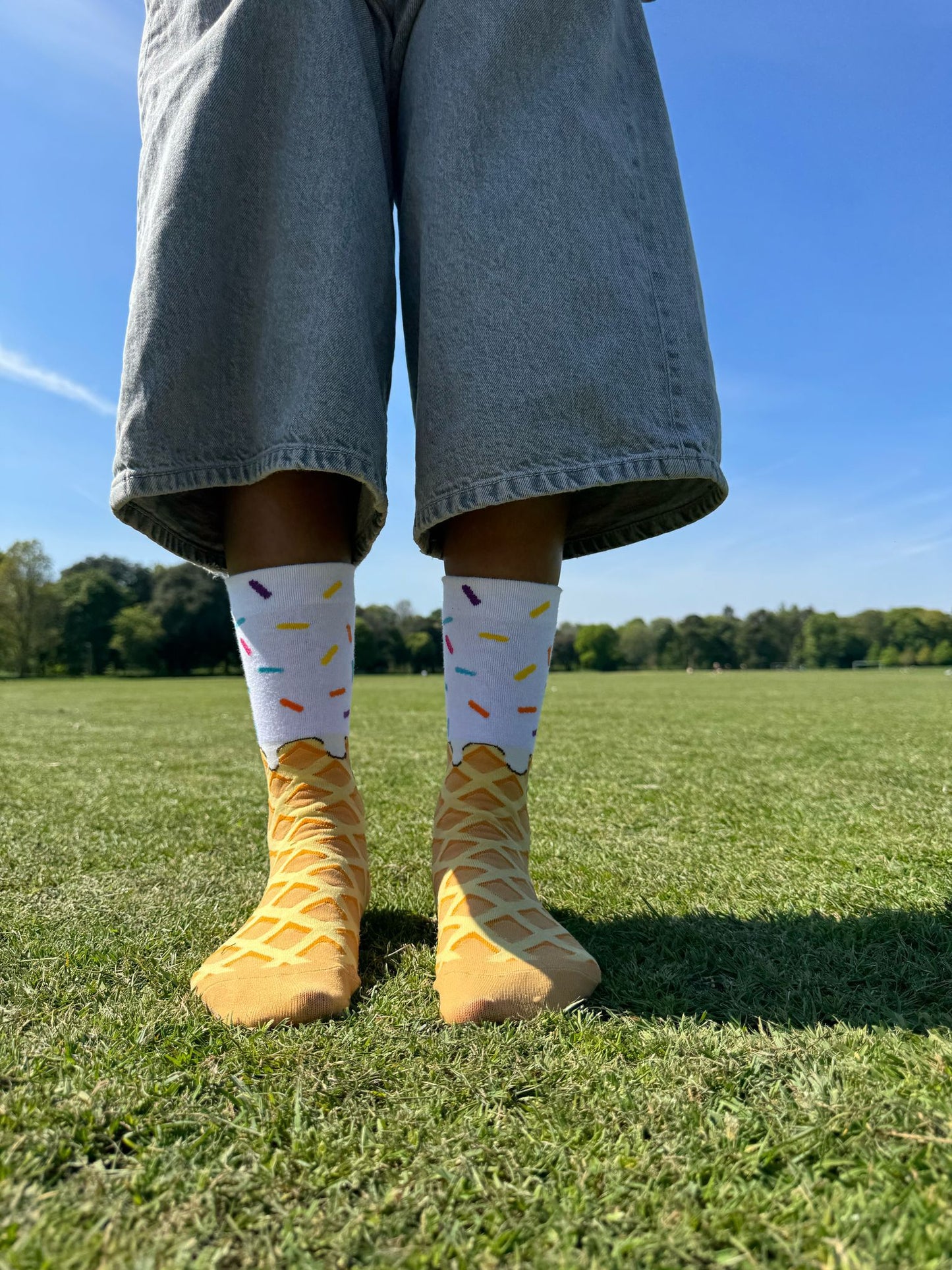 Melted Ice Cream - The Wolf in Socks
