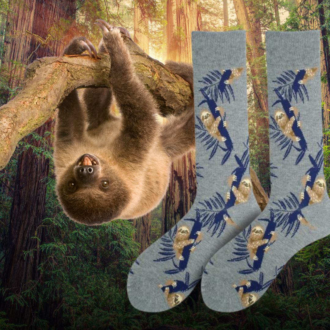 Bamboo Sloth - The Wolf in Socks