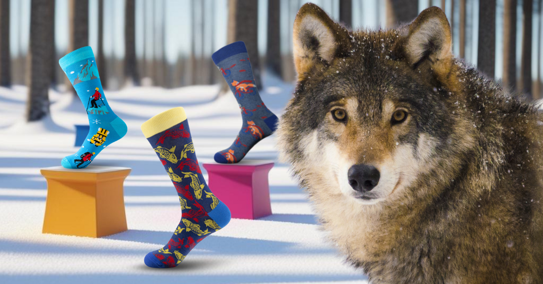 Our Story - The Wolf in Socks