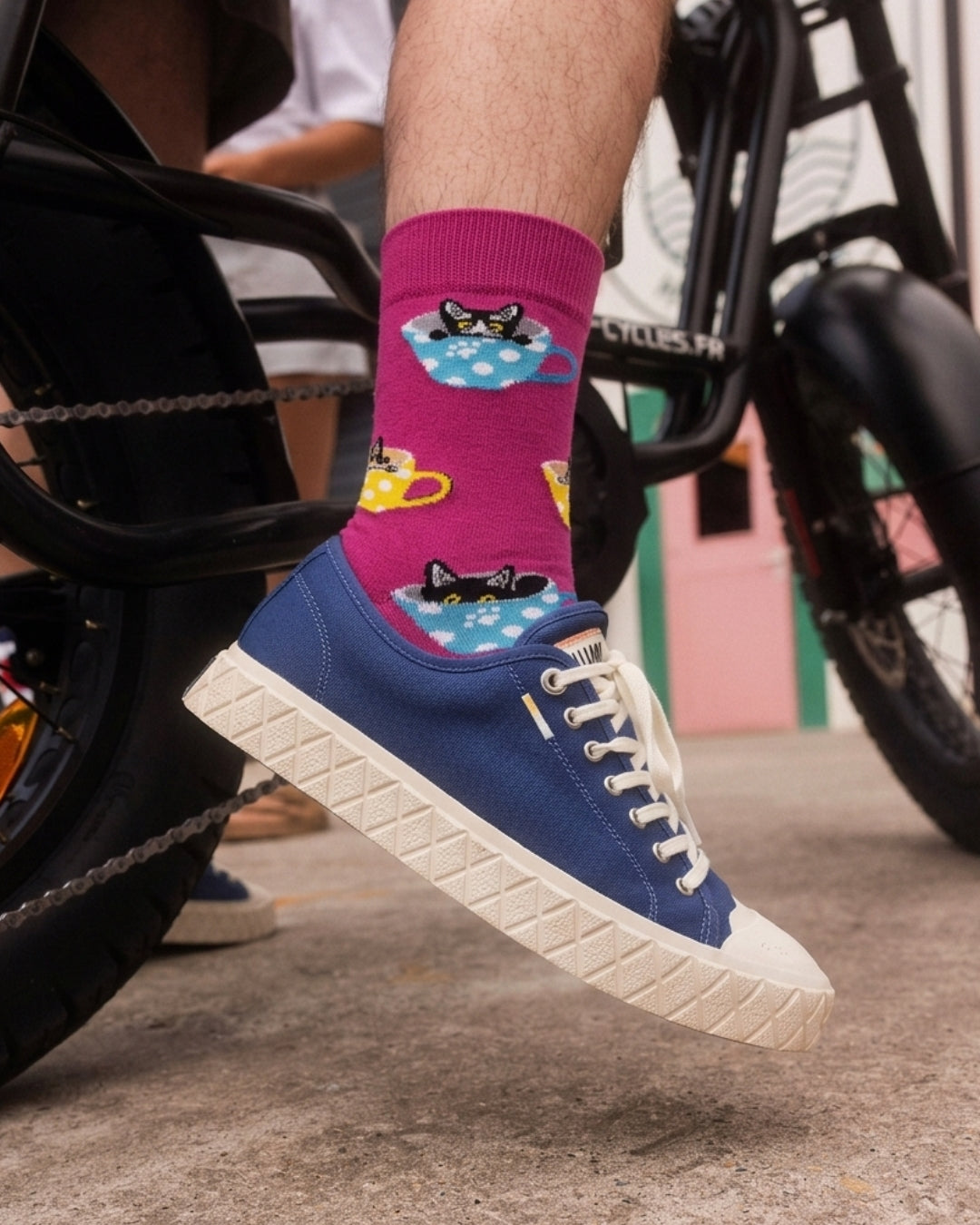 Cat socks