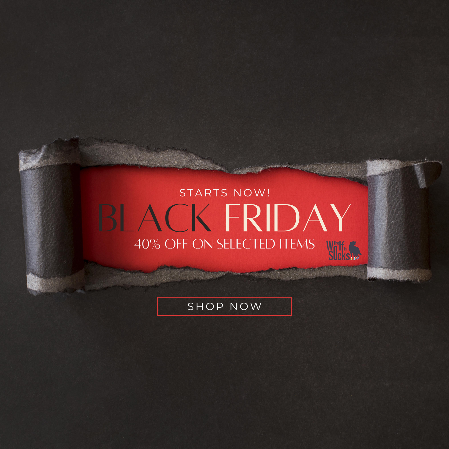 BLACK FRIDAY SALE