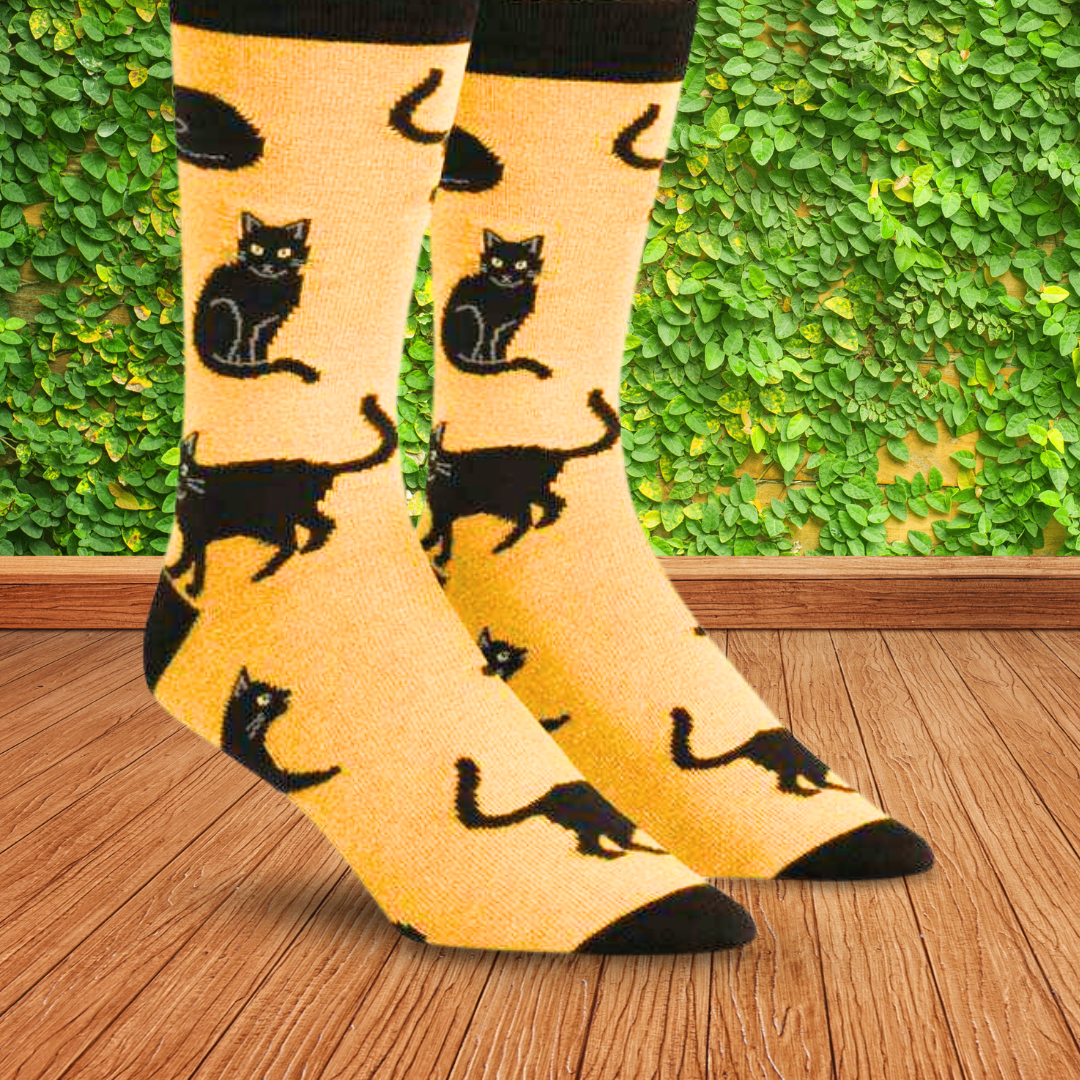 black cat socks