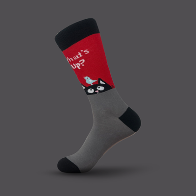 What’s up - The Wolf in Socks