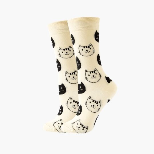 Black and White Cat