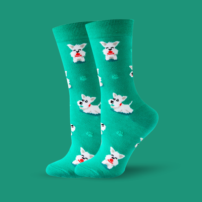 Yorkee - The Wolf in Socks