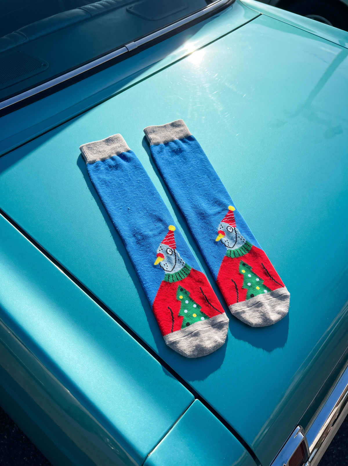 Christmas Pigeon Socks