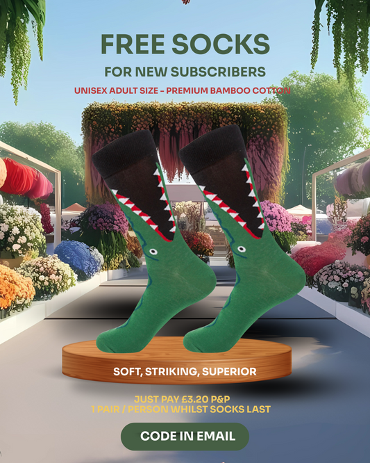 Crocodile | FREE for New Email Subscribers