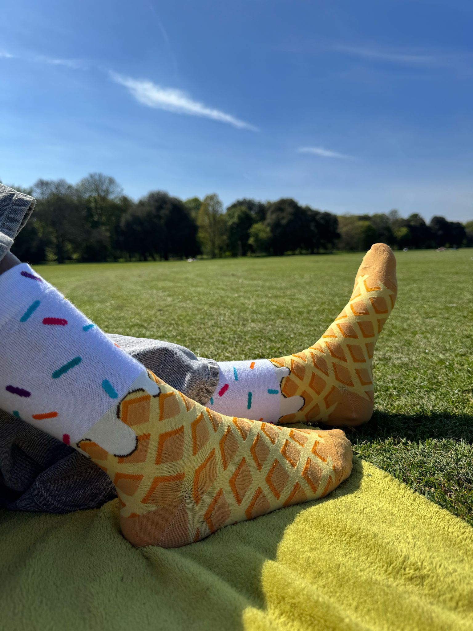 Melted Ice Cream - The Wolf in Socks