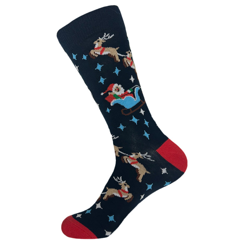 Santas Sleigh and Reindeers