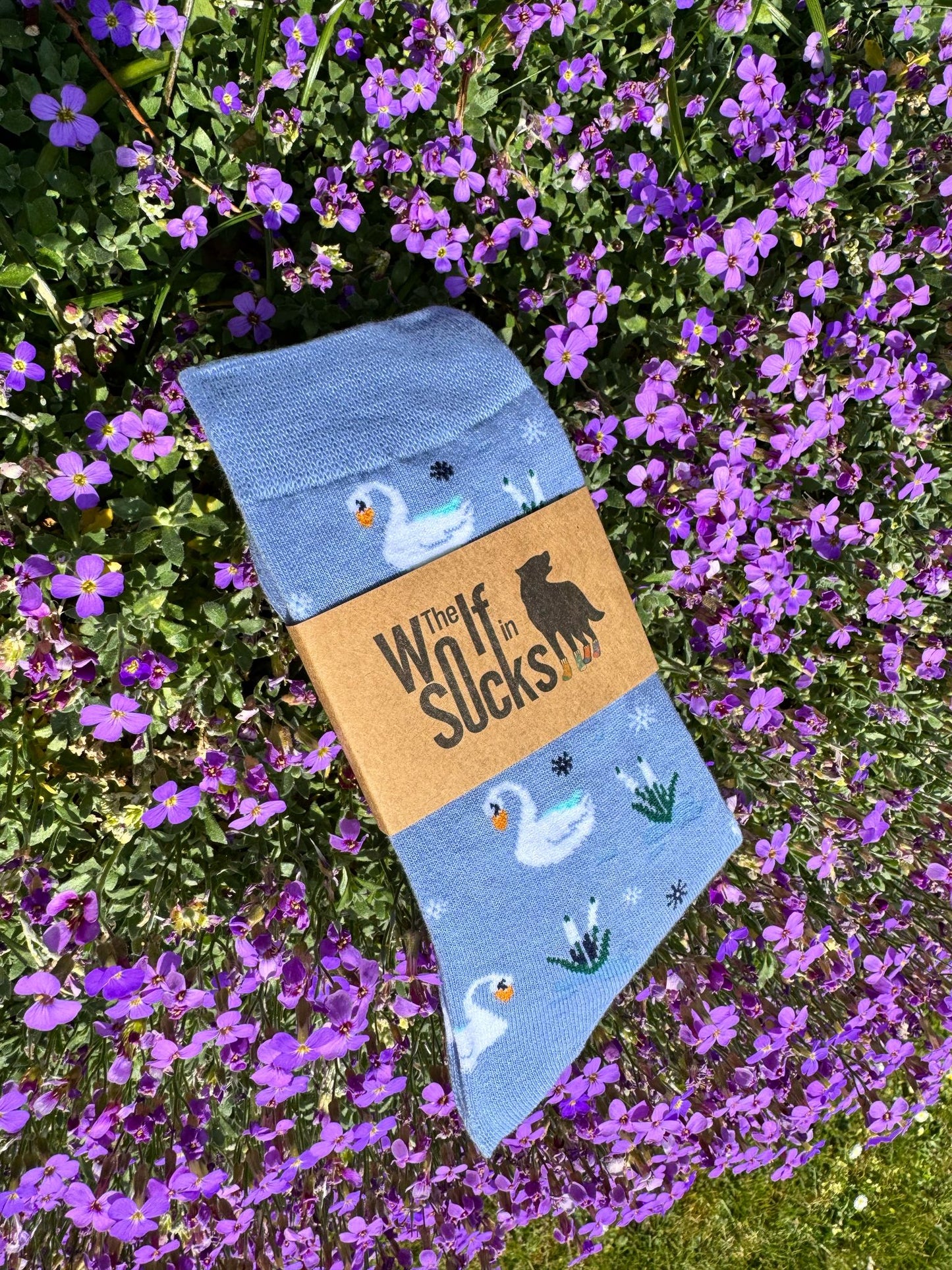 Swan - The Wolf in Socks