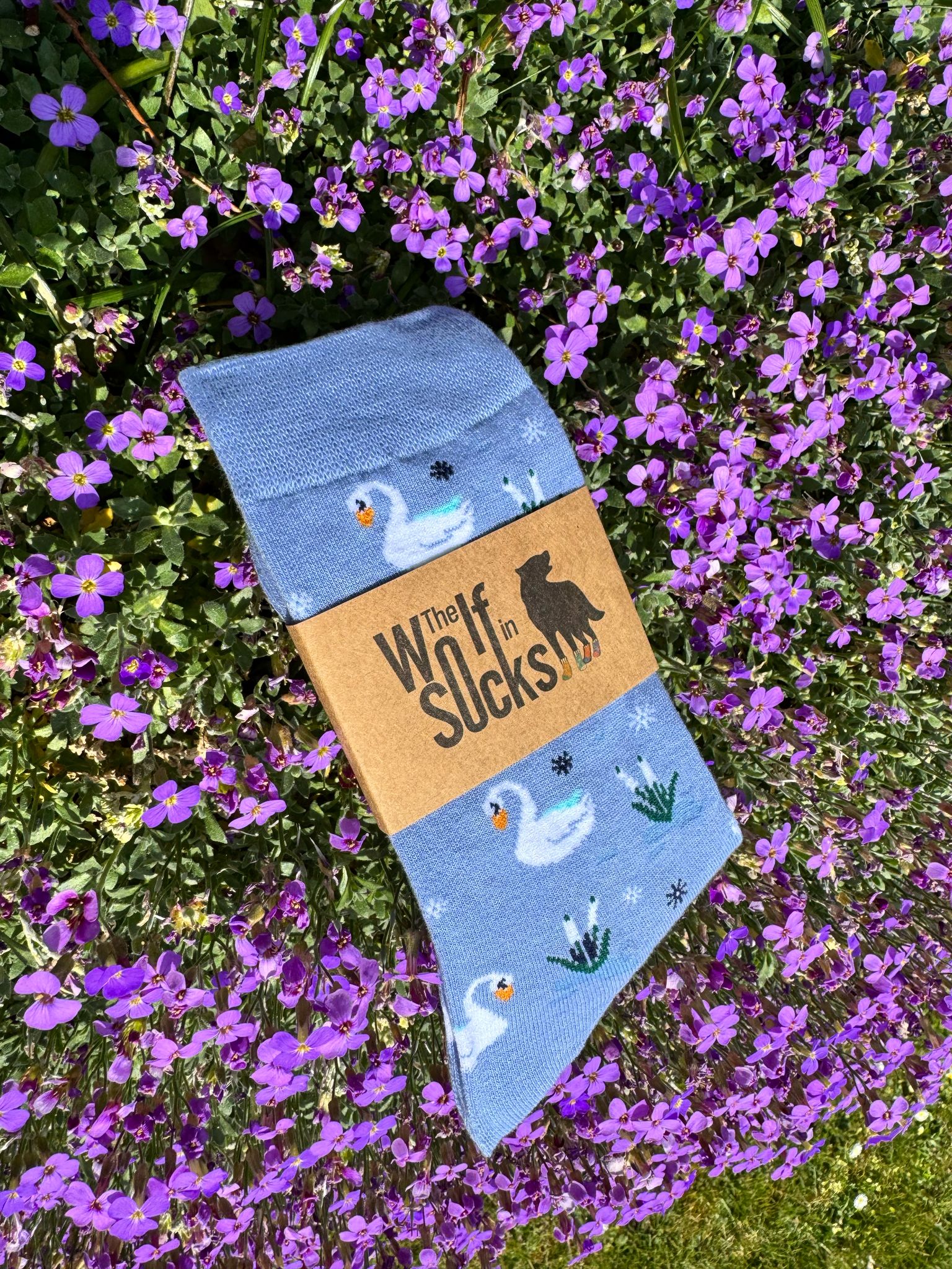 Swan - The Wolf in Socks
