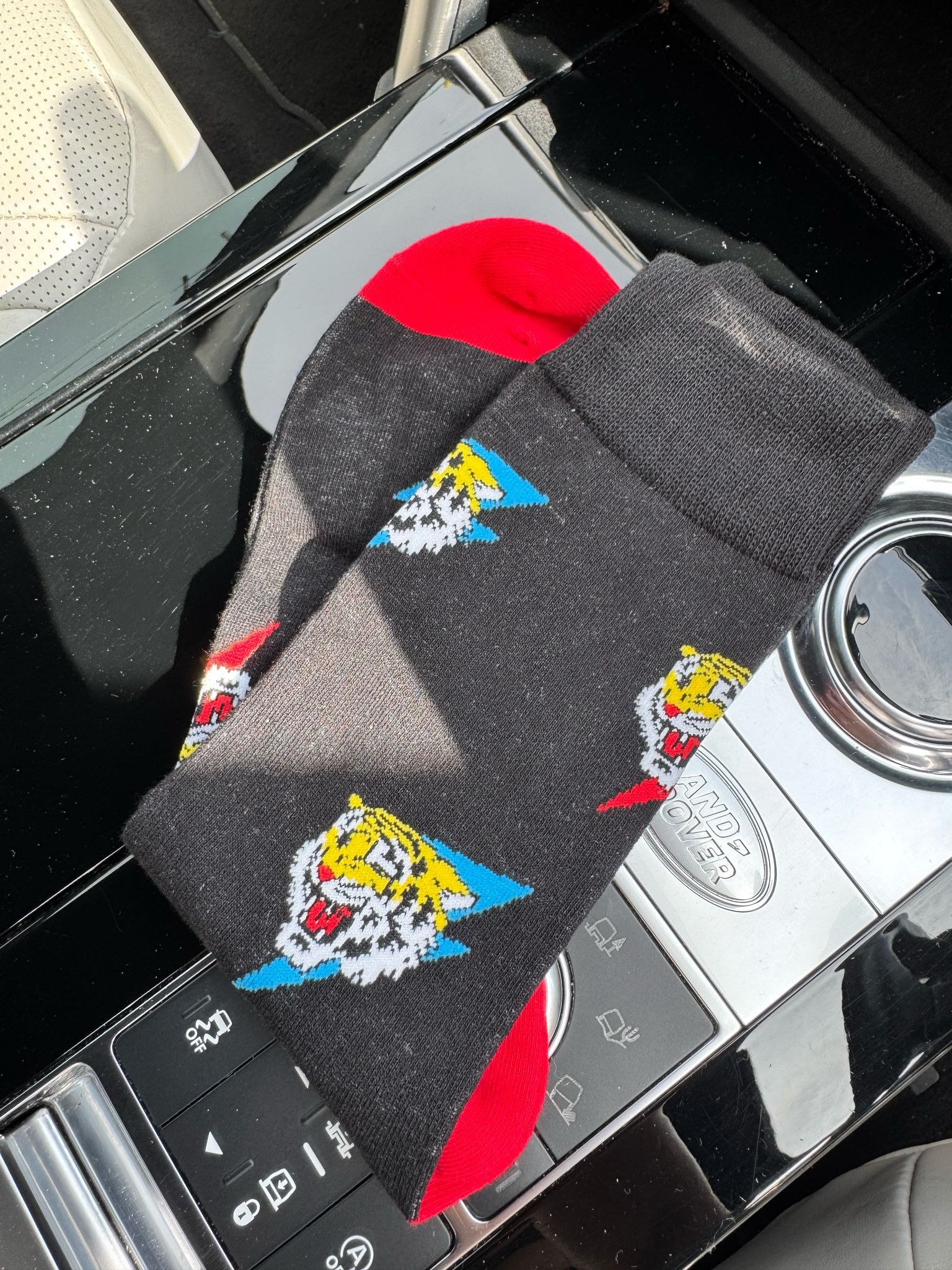 Tiger - The Wolf in Socks