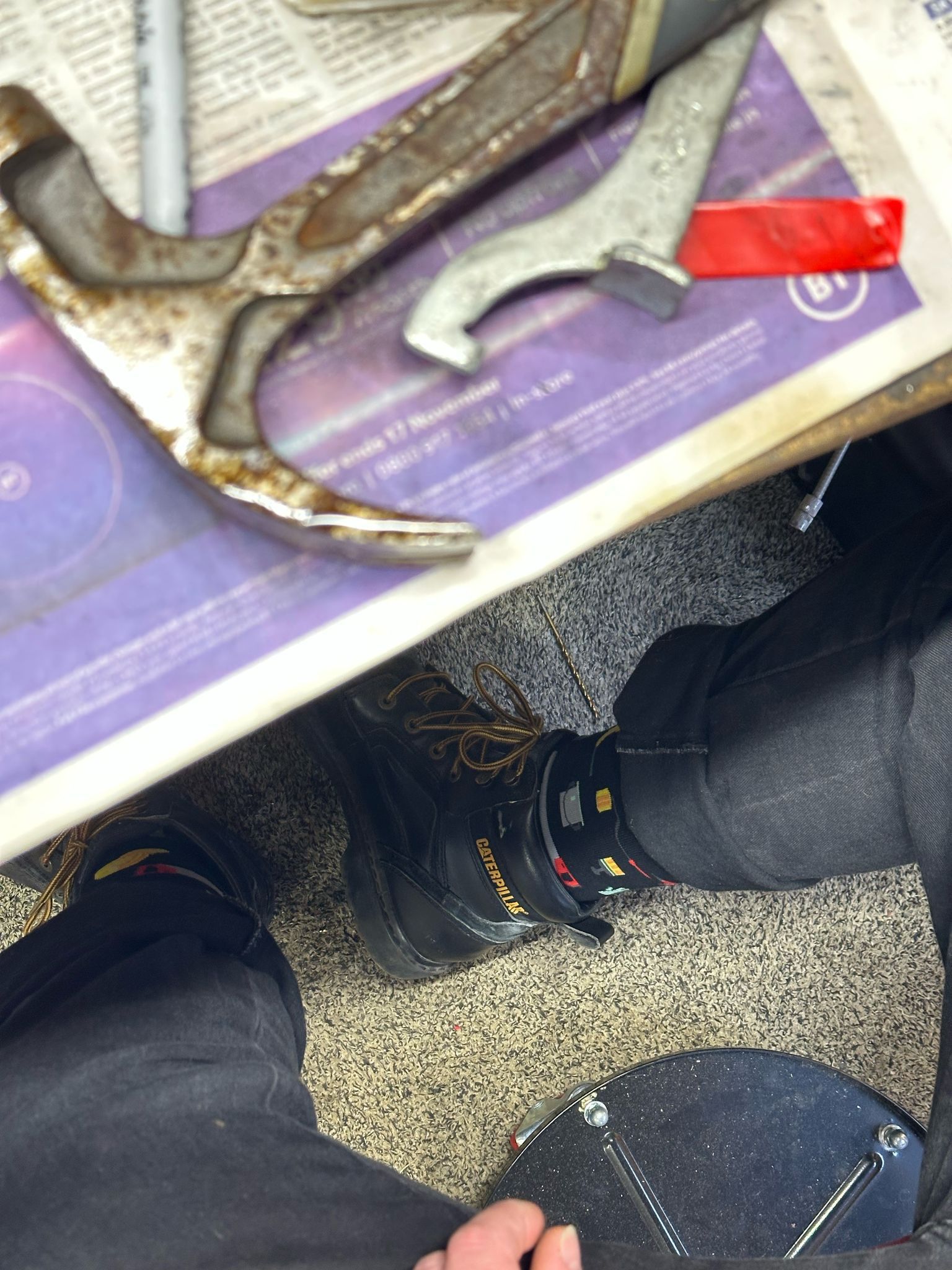 Tools - The Wolf in Socks
